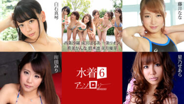 水着アンソロジー6：カリビアンコムの夏の輝きを彩る美女たちの競演